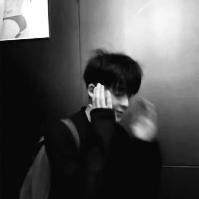 Furry插画风格打造兽圈社群